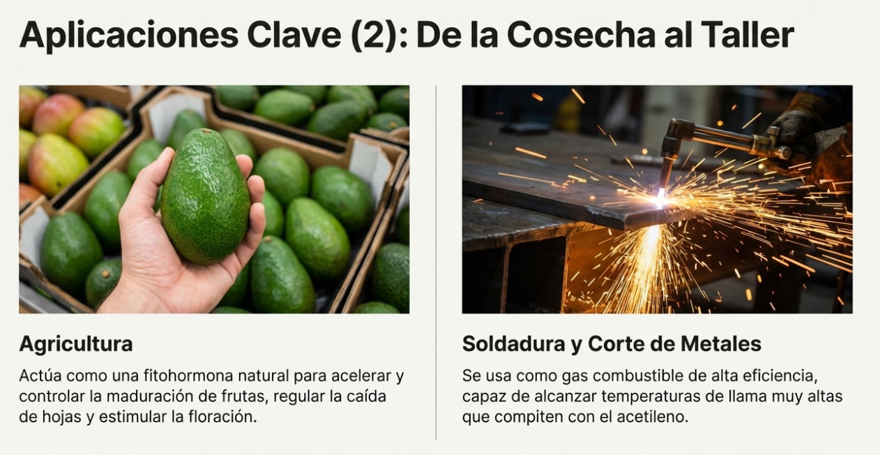 aplicaciones del etileno 2
